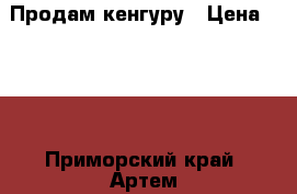 Продам кенгуру › Цена ­ 500 - Приморский край, Артем г. Дети и материнство » Коляски и переноски   . Приморский край